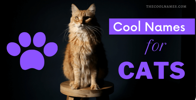 Cool Cat Names - Famous, Badass & Unique Names For Cats