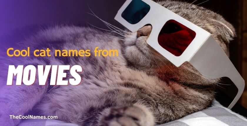 Cool cat names from movies