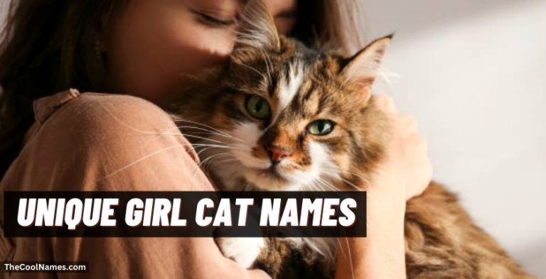 Unique Girl Cat Names 768x393 