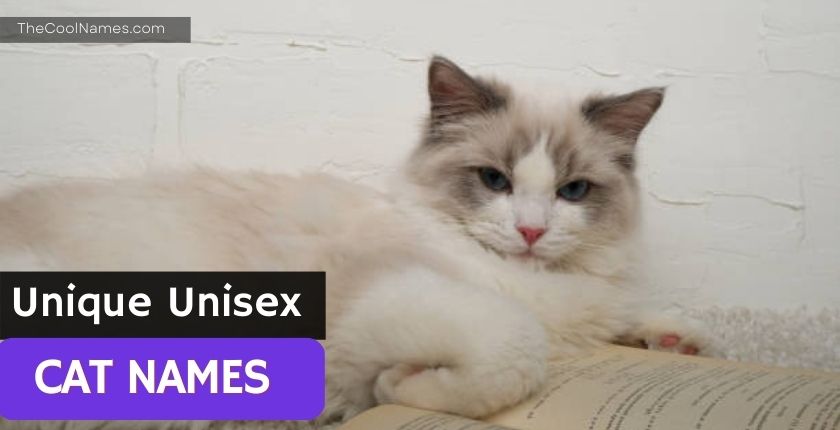 Unique Unisex Cat Names