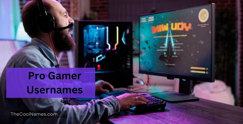 Pro Gamer Usernames