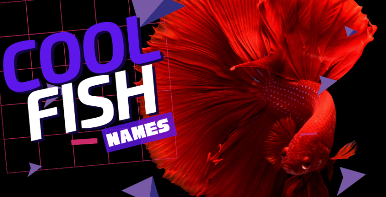 fish-names-archives-the-cool-names