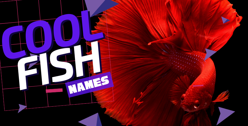 Cool Fish Names