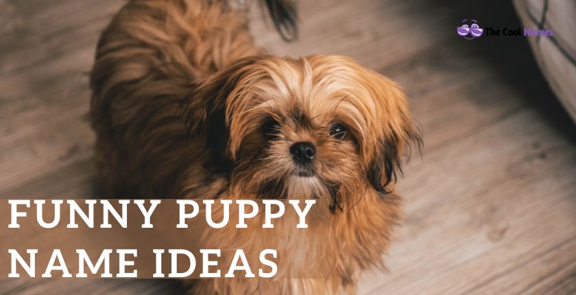 Funny Puppy Name Ideas