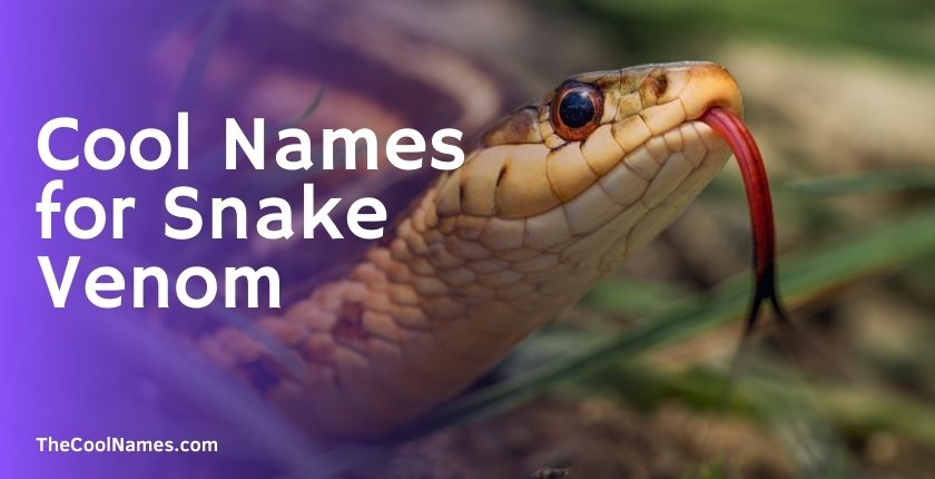 Cool Names for Snake Venom