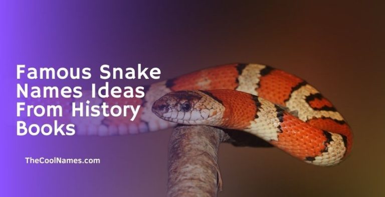 1000+ Badass Pet Snake Names List And Ideas For You [2024]