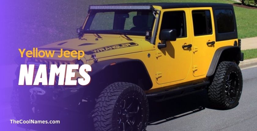  Yellow Jeep Names