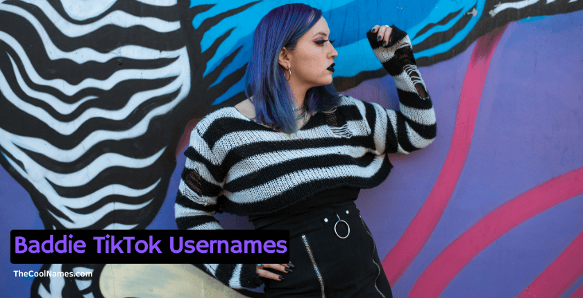 Baddie TikTok Usernames