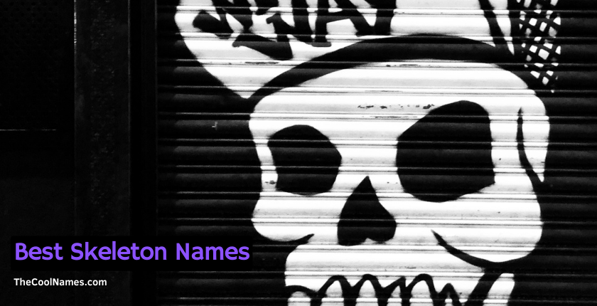 Best Skeleton Names Ideas
