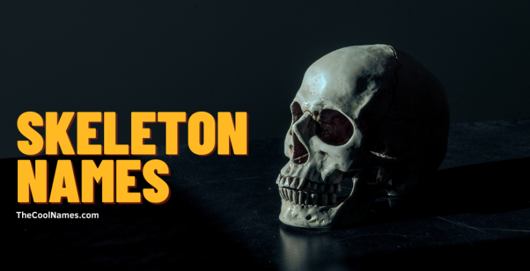 Skeleton Names