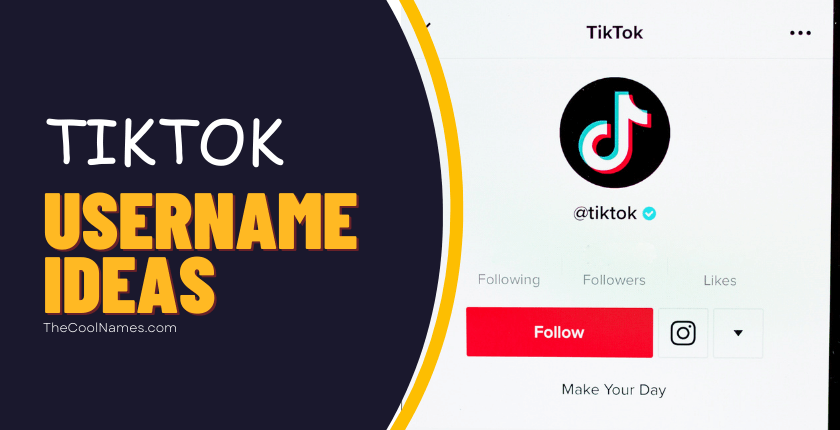TikTok Usernames Ideas