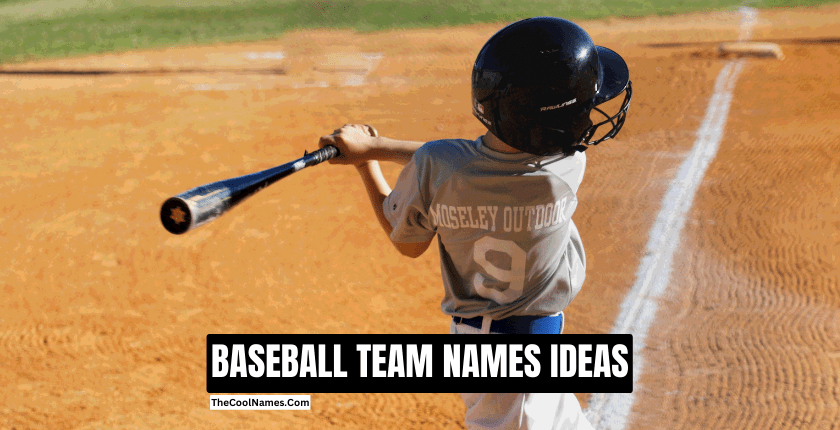 BASEBALL TEAM NAMES IDEAS