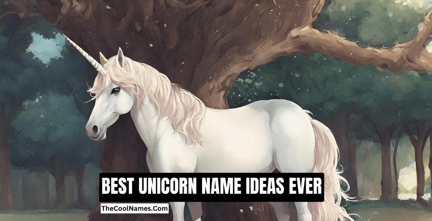 BEST UNICORN NAME IDEAS EVER