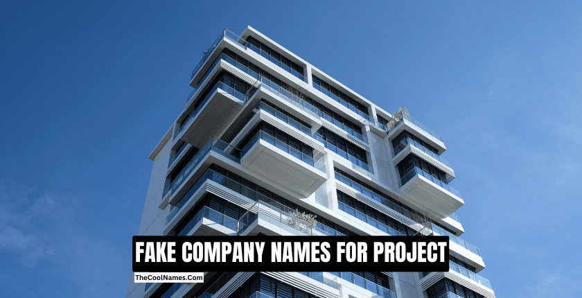 FAKE COMPANY NAMES FOR PROJECT