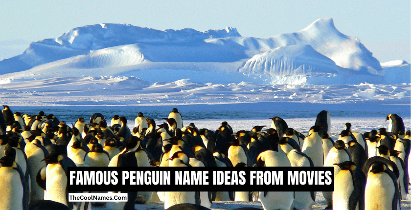 FAMOUS PENGUIN NAME IDEAS FROM MOVIES