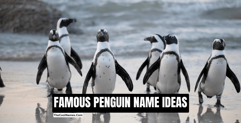 FAMOUS PENGUIN NAME IDEAS