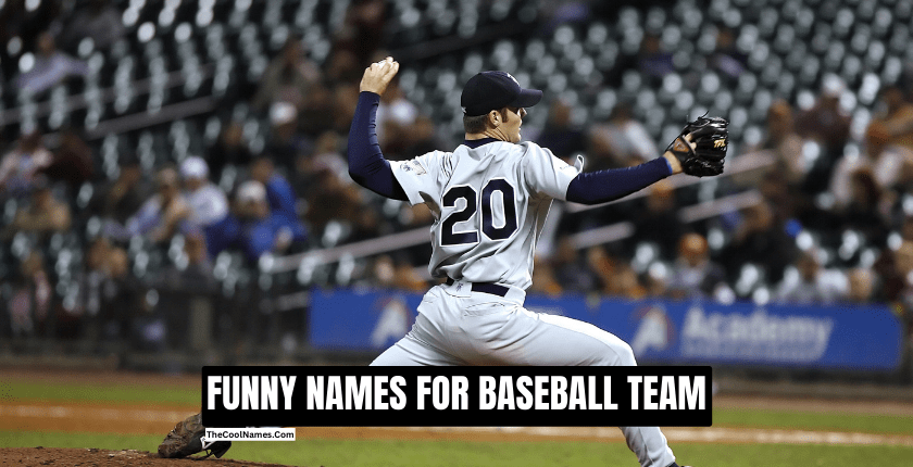 FUNNY NAMES FOR BASEBALL TEAM