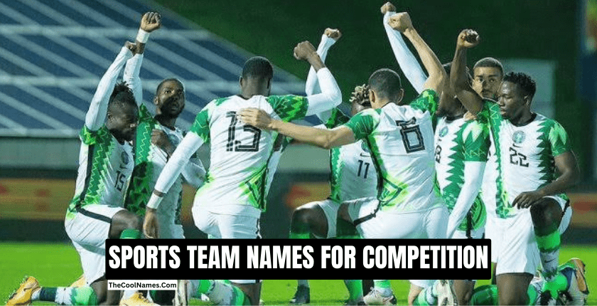 SPORTS TEAM NAMES FOR COMPETITION
