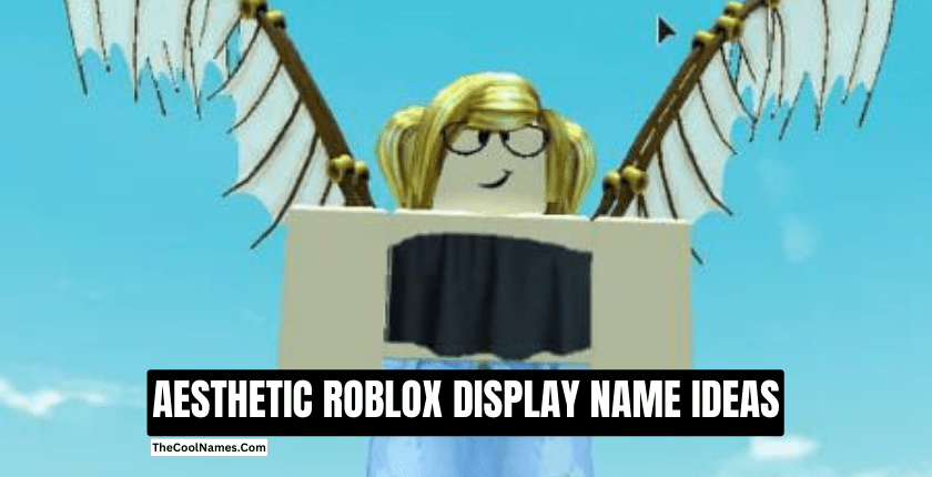 AESTHETIC ROBLOX DISPLAY NAME IDEAS