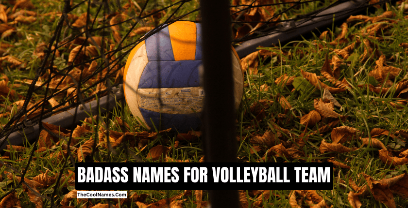 BADASS NAMES FOR VOLLEYBALL TEAM