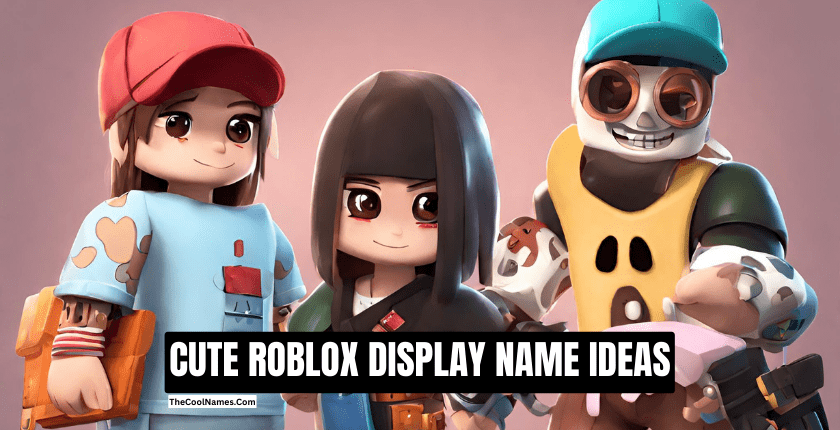 350+ Roblox Display Names And Ideas For A Perfect Name