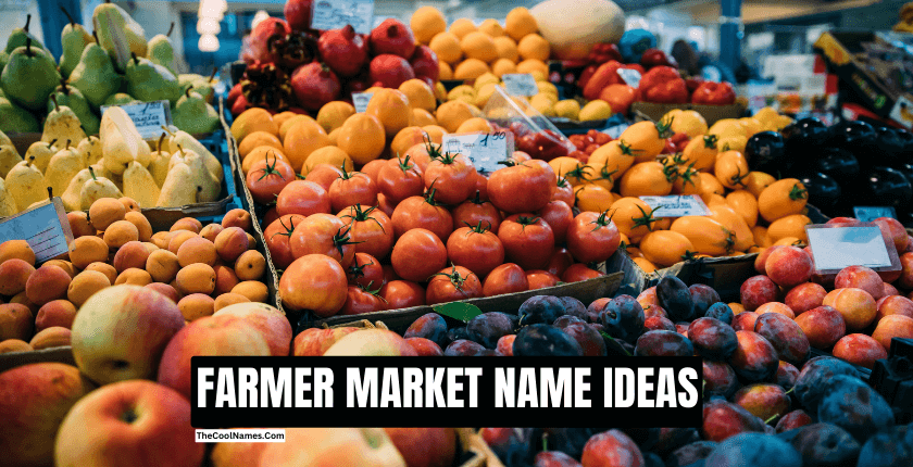 FARMER MARKET NAME IDEAS 1