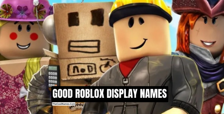 350+ Roblox Display Names And Ideas For A Perfect Name