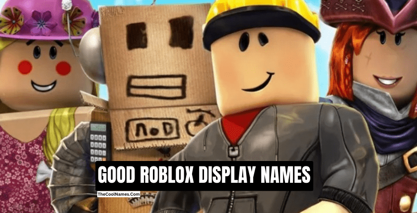 GOOD ROBLOX DISPLAY NAMES