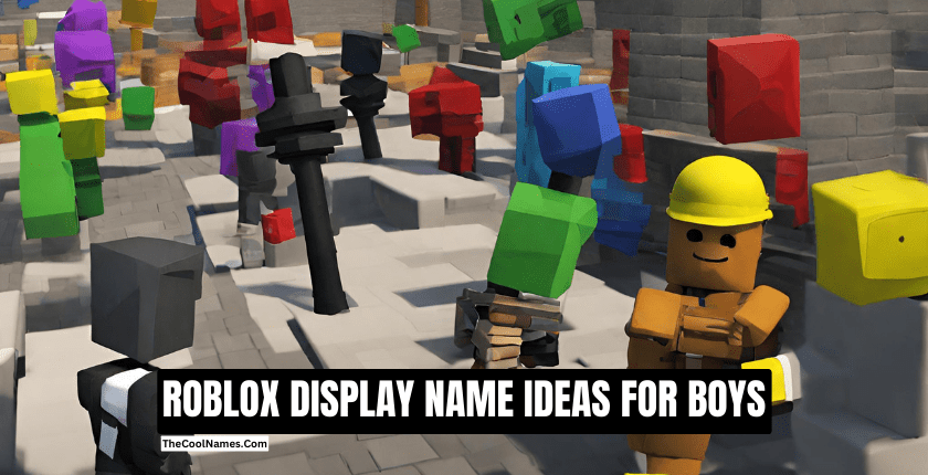 ROBLOX DISPLAY NAME IDEAS FOR BOYS