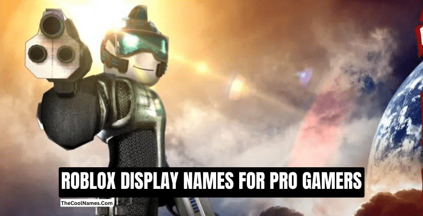 ROBLOX DISPLAY NAMES FOR PRO GAMERS