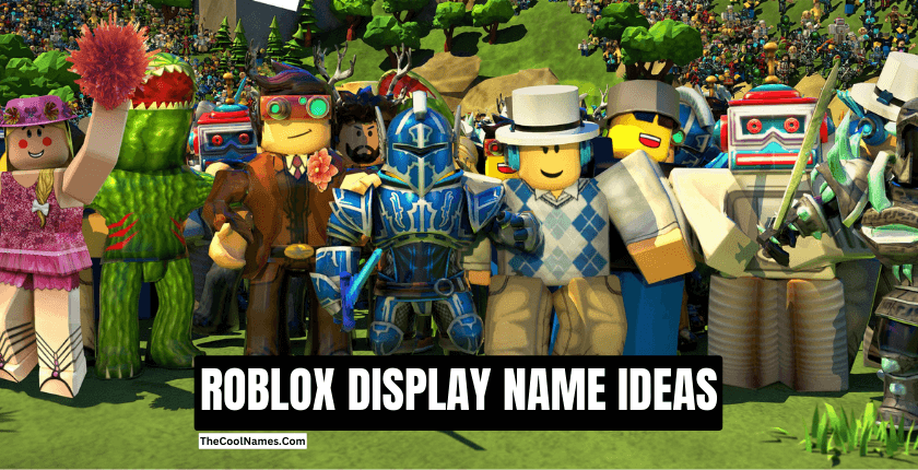 Roblox Display Names