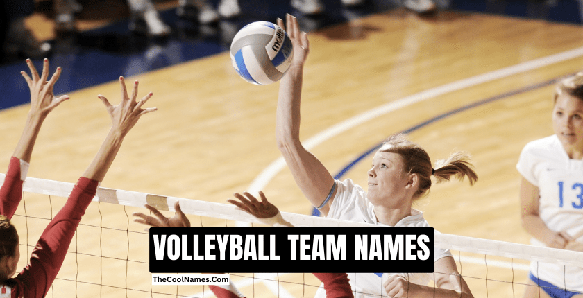 VOLLEYBALL TEAM NAMES