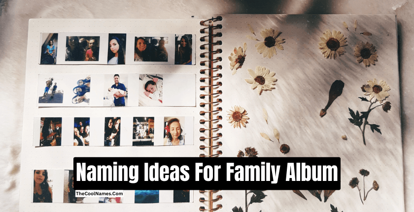 Naming Ideas For Family Album 1