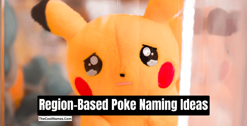 Region Based Poke Naming Ideas 1