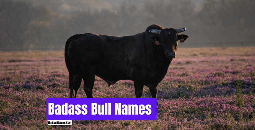 Badass Bull Names