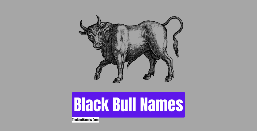 Black Bull Names