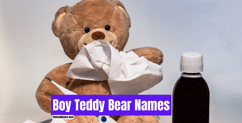Boy Teddy Bear Names