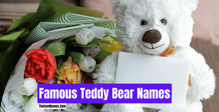 Famous Teddy Bear Names