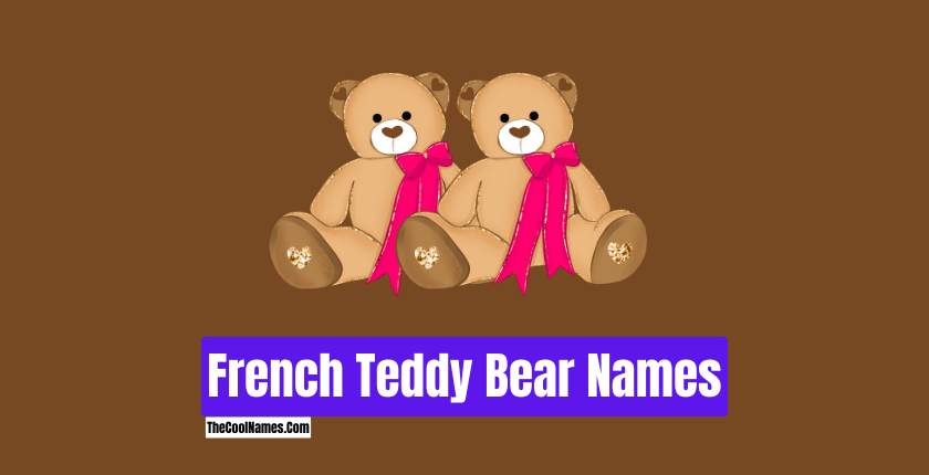 French Teddy Bear Names