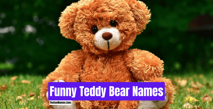 Funny Teddy Bear Names