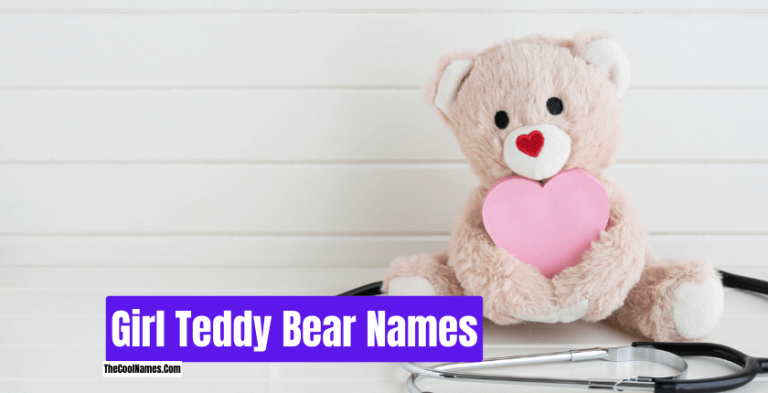 Badass Teddy Bear Names List For Your Cute Friend [2024]