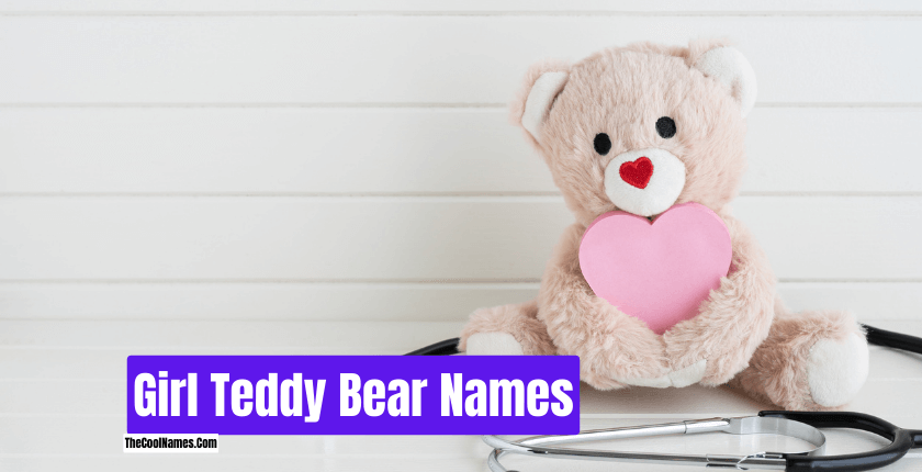 Girl Teddy Bear Names