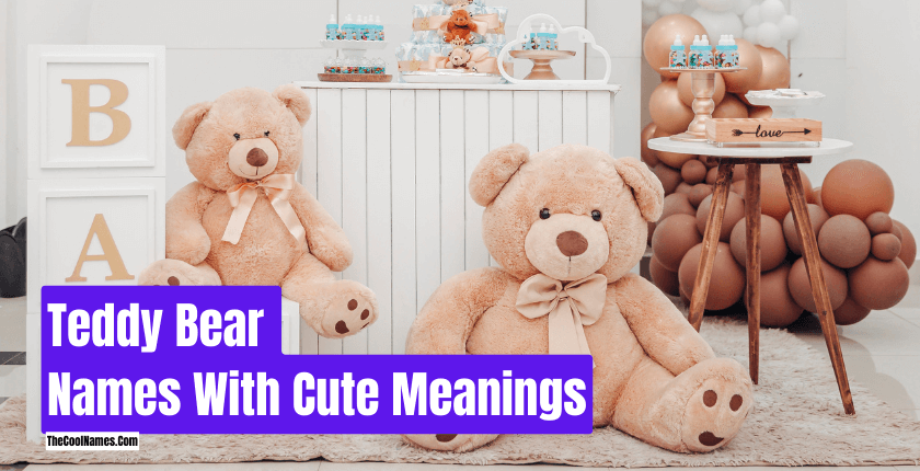 Teddy Bear Names with Cute Meanings