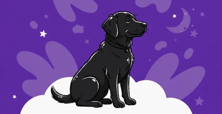 Illustration of a glossy black Labrador with a shiny dark coat sitting on a deep purple background decorated with stars and a crescent moon